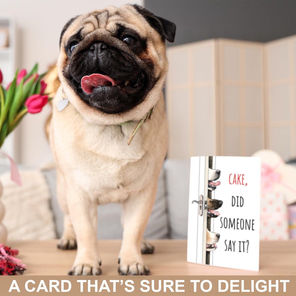 Funny Birthday Card for Woman Men, Cute Dog Happy Birthday Card, Humorous Bday Greeting Card for Dog Lovers, Blank Dog C