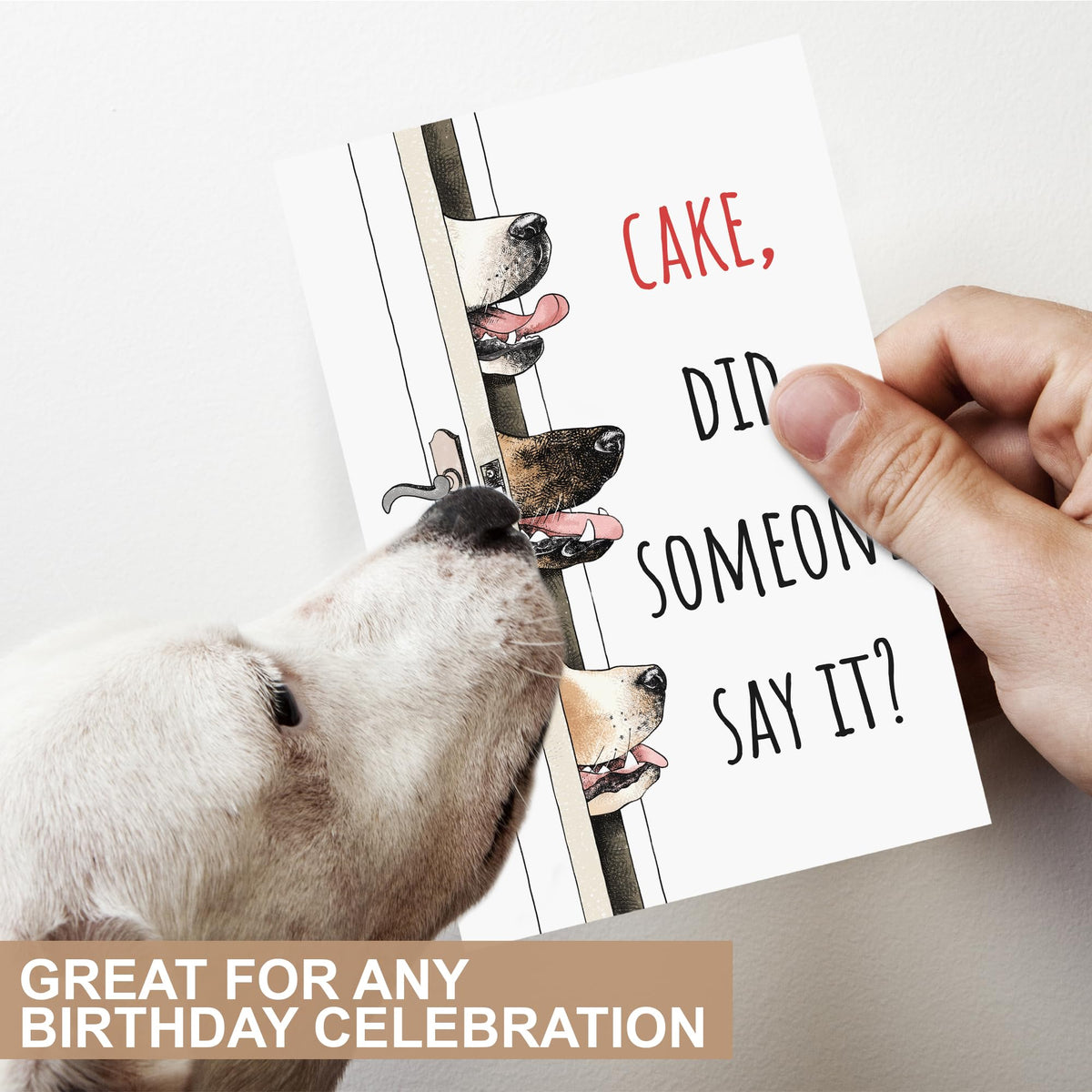 Funny Birthday Card for Woman Men, Cute Dog Happy Birthday Card, Humorous Bday Greeting Card for Dog Lovers, Blank Dog C