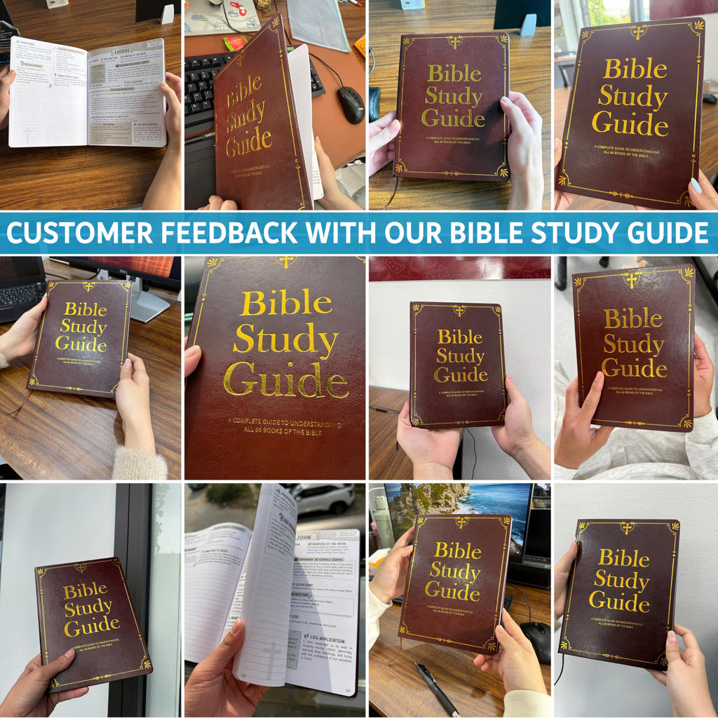 Bible Study Guide for Women & Men – Beginner-Friendly Study of All 66 Books with Life Application & Reflection Notes | P