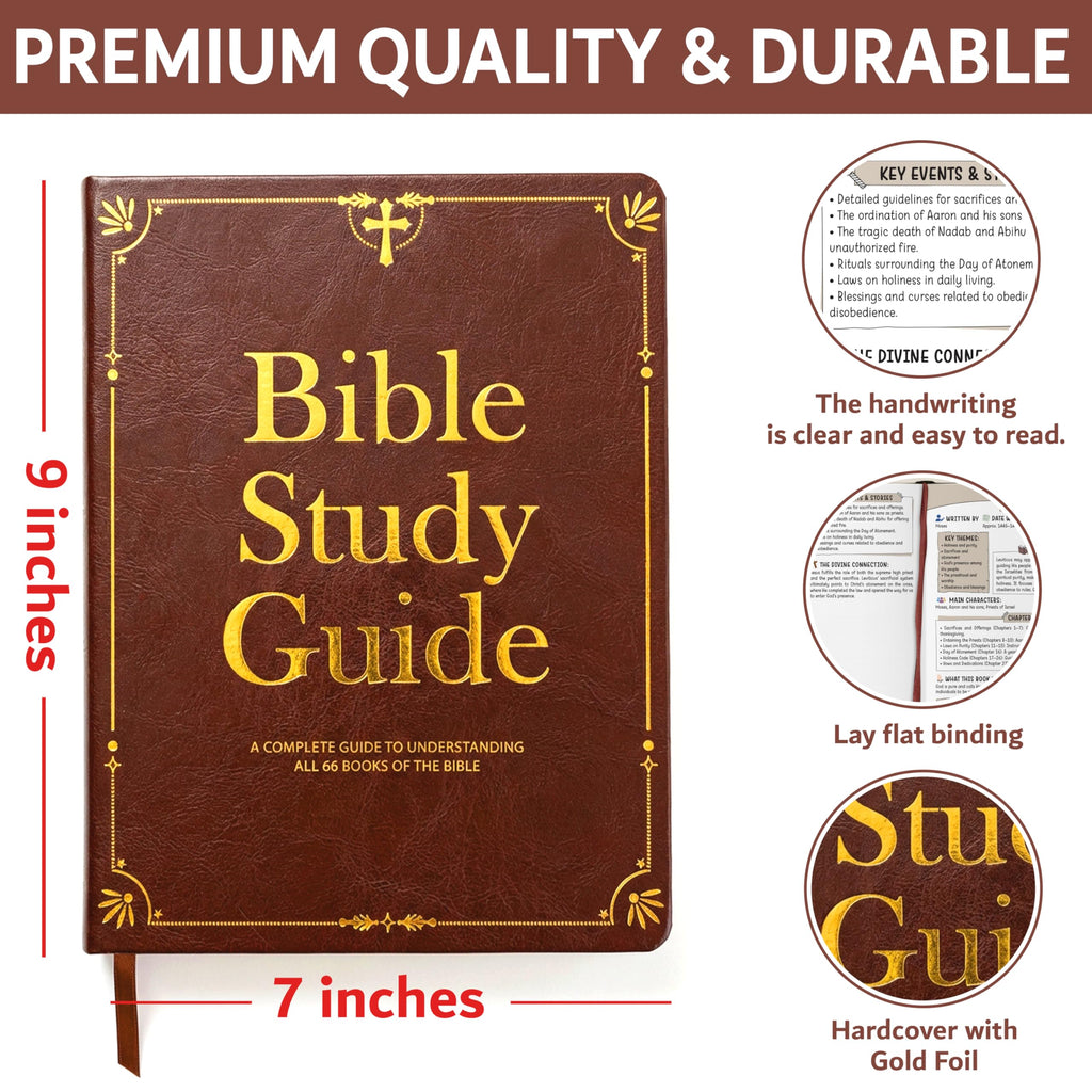 Bible Study Guide for Women & Men – Beginner-Friendly Study of All 66 Books with Life Application & Reflection Notes | P