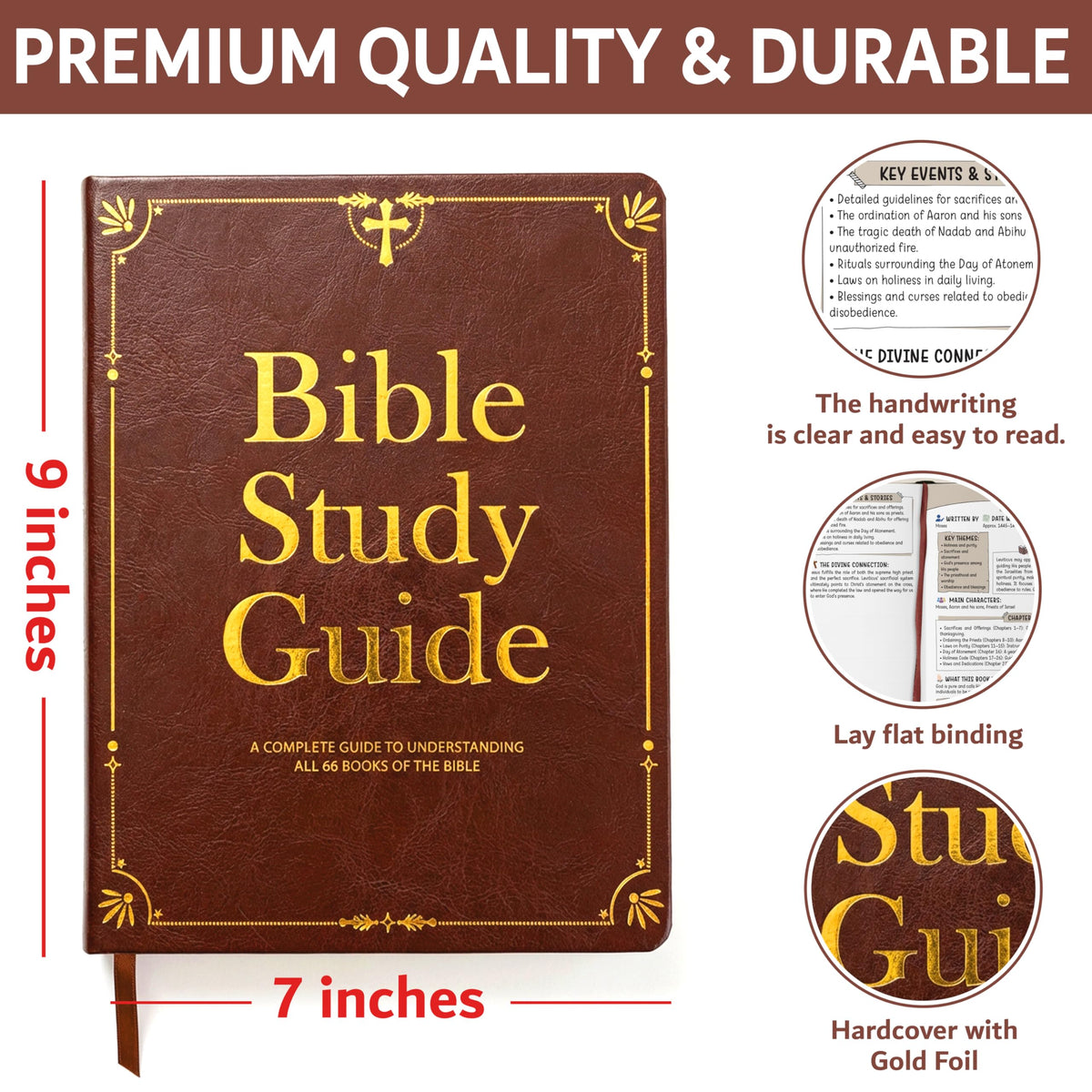Bible Study Guide for Women & Men – Beginner-Friendly Study of All 66 Books with Life Application & Reflection Notes | P