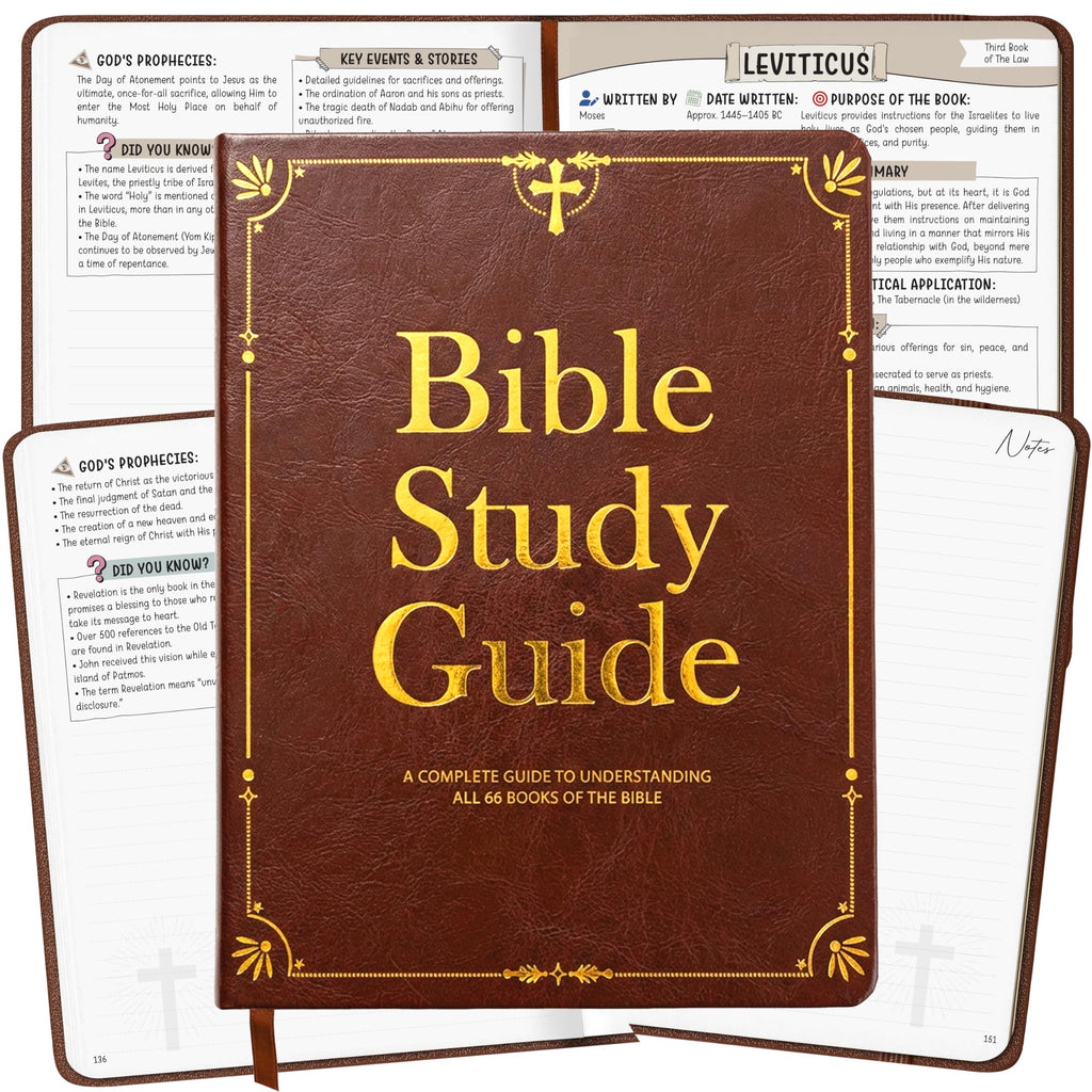 Bible Study Guide for Women & Men – Beginner-Friendly Study of All 66 Books with Life Application & Reflection Notes | P