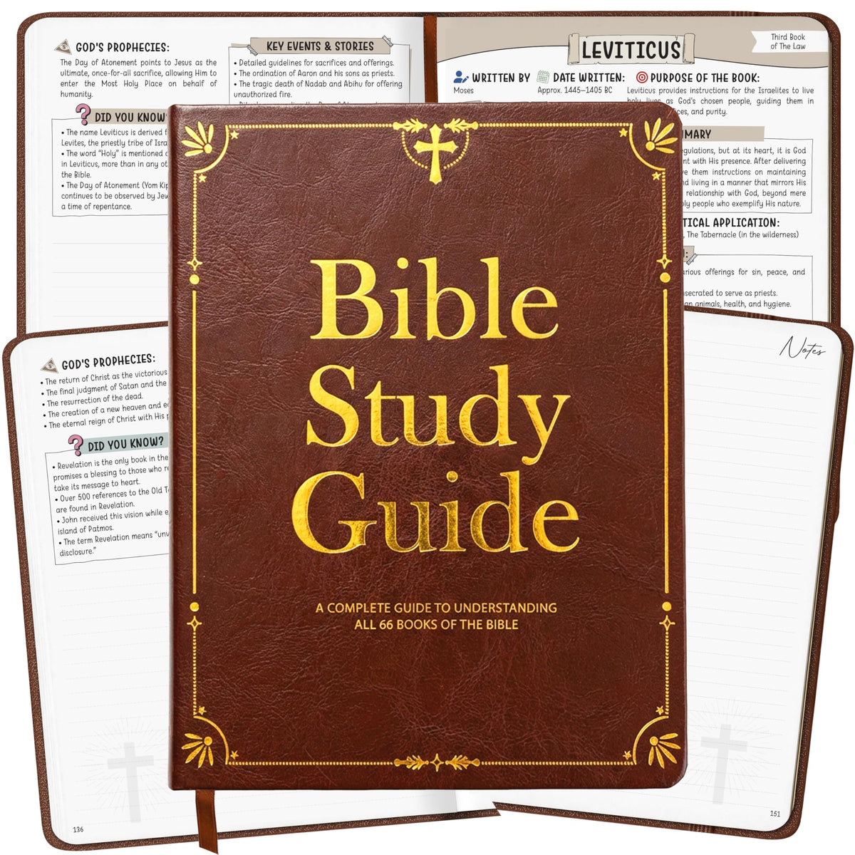 Bible Study Guide for Women & Men – Beginner-Friendly Study of All 66 Books with Life Application & Reflection Notes | P